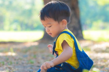 Asyalı çocuk yeşil çimen parkında halk parkında oynuyor.