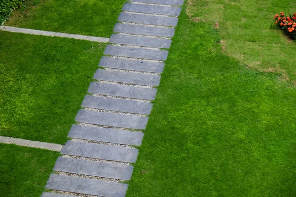 Скелястий Шлях Прогулянки Зеленій Луговій Траві Домашній Сад — стокове фото