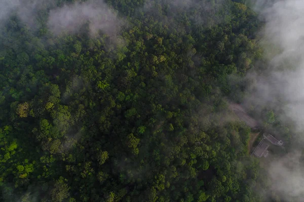 Vista Aérea Verde Floresta Tropical Olhar Dpwn Vista Natureza Paisagem — Fotografia de Stock