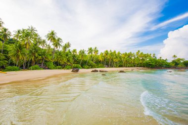 Gökyüzü ve kumsalda hindistan cevizi ağaçları olan beyaz bulutlar. Kum ve deniz, gökyüzünde olmak gibi rahatlatıcı bir duygu..