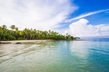 Gökyüzü ve kumsalda hindistan cevizi ağaçları olan beyaz bulutlar. Kum ve deniz, gökyüzünde olmak gibi rahatlatıcı bir duygu..