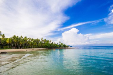 Gökyüzü ve kumsalda hindistan cevizi ağaçları olan beyaz bulutlar. Kum ve deniz, gökyüzünde olmak gibi rahatlatıcı bir duygu..