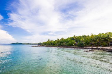 Gökyüzü ve kumsalda hindistan cevizi ağaçları olan beyaz bulutlar. Kum ve deniz, gökyüzünde olmak gibi rahatlatıcı bir duygu..