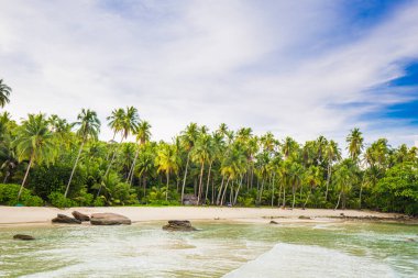 Gökyüzü ve kumsalda hindistan cevizi ağaçları olan beyaz bulutlar. Kum ve deniz, gökyüzünde olmak gibi rahatlatıcı bir duygu..