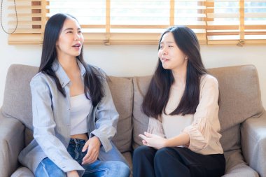 Kadınlar kanepede birlikte konuşuyor pencerenin ışığı, iş kadınları...