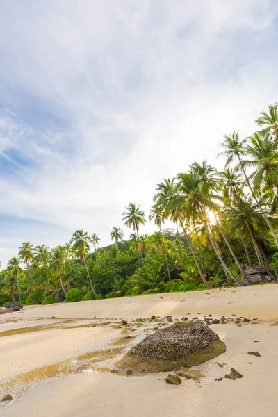 Coco Pam Árvore Tropical Mar Praia Manhã Nascer Sol Natureza — Fotografia de Stock