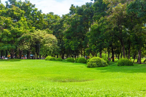 Zelená Louka Stromem Městském Veřejném Parku Deštivé Zelené Scenérii — Stock fotografie