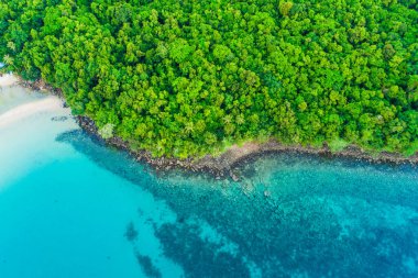 Deniz manzaralı tropikal yeşil ağaç ormanı. Deniz adası turkuaz suyu.