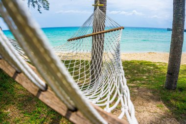 Beyaz beşik, deniz kıyısında yaz tatilinde palmiye ağacı.