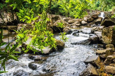 Koh Kood Adası Tayland 'daki tropikal yağmur ormanlarında kayalık bir şelale.