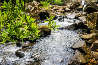 Koh Kood Adası Tayland 'daki tropikal yağmur ormanlarında kayalık bir şelale.