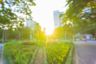 Yeşil Park 'ta bulanık güneş ışığı Bokeh Flora arkaplanlı sabah ışığı