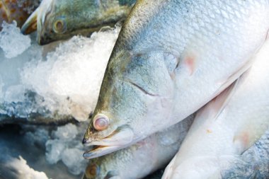 Taze deniz ürünleri ve orfoz balıkları buz gibi omega yiyeceklerle satılıyor.