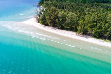 Hindistan cevizi palmiyesi yaz tatili konsepti olan deniz manzaralı beyaz kumsal.