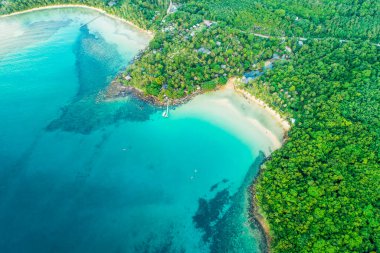 Hindistan cevizi palmiyesi yaz tatili konsepti olan deniz manzaralı beyaz kumsal.
