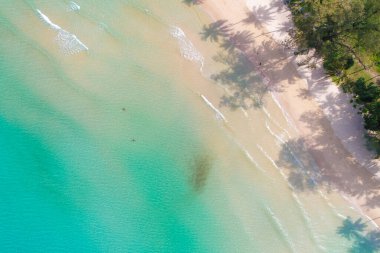 Gökyüzü manzaralı gök mavisi deniz suyu beyaz kumsal Hindistan cevizi gölgesi yaz seyahati konsepti
