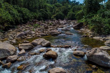 Derin tropikal yağmur ormanlarında güzel şelale doğa hava manzarası