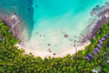 Beyaz kum plajı turkuvaz suyu ve palmiye ağacı doğa manzarası yaz tatili.