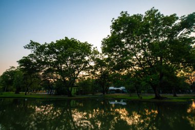 Yeşil park günbatımı Gölet Parkı gökyüzü doğa yeşillik manzarasını bulutlandırır