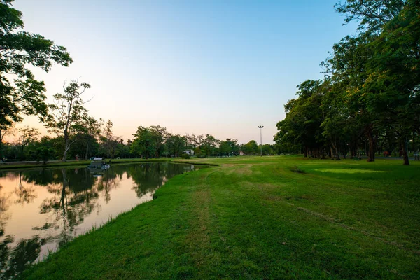 池公園と緑の公園の夕日空雲自然景観の葉の風景 — ストック写真