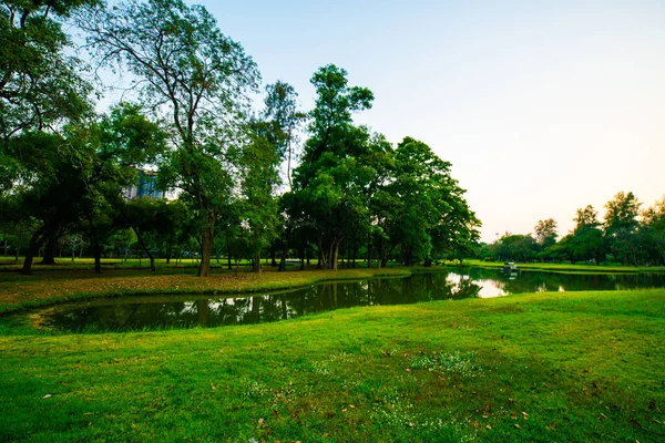 Parque Verde Puesta Sol Con Estanque Parque Cielo Nube Naturaleza — Foto de Stock