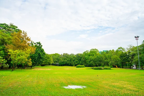 Verde Natura Pubblico Città Parco Verde Prato Erba Cielo Con — Foto Stock