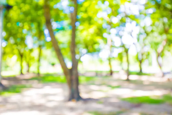 Blurred city green park with bokeh sun light nature background defocus scenery