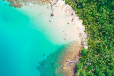 Hindistan cevizi palmiyesi yaz tatili konsepti olan deniz manzaralı beyaz kumsal.