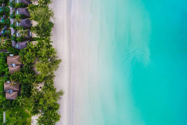 Sea beach with resort resident and coconut palm tree aerial view summer vacation concept