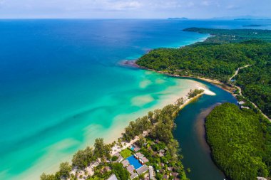 Tropikal yeşil mangrov ormanı, nehir kıyısı ekoloji sistemi hava manzaralı.
