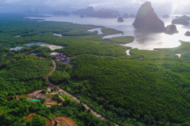 Tropikal mangrov yeşil ağaç ormanlarında sabah sisli deniz ve nehir manzarası.