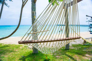 Beyaz beşik, deniz kıyısında yaz tatilinde palmiye ağacı.