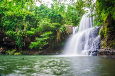Koh Kood Adası Tayland 'daki tropikal yağmur ormanlarında kayalık bir şelale.