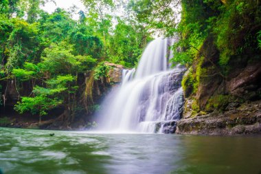 Koh Kood Adası Tayland 'daki tropikal yağmur ormanlarında kayalık bir şelale.