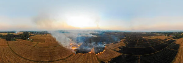 Quemadura Fuego Campo Arroz Paja Amarilla Con Vista Aérea Humo — Foto de Stock