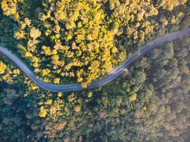 Dağ etrafindaki macera eğrisi otoyol yesil orman etrafinda. Tayland 'da hava araci vurulmadi.