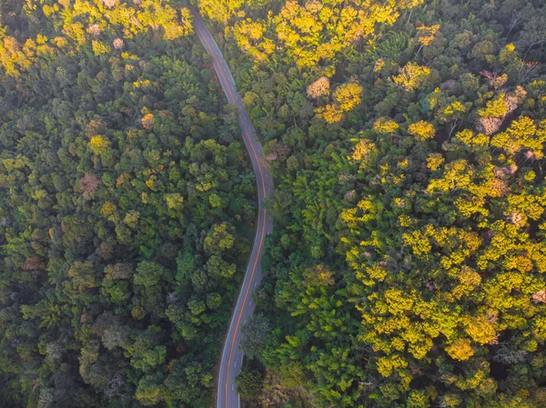 Adventure Curve Highway Road Mountain Surround Green Forest Aerial Drone — Stock Photo, Image