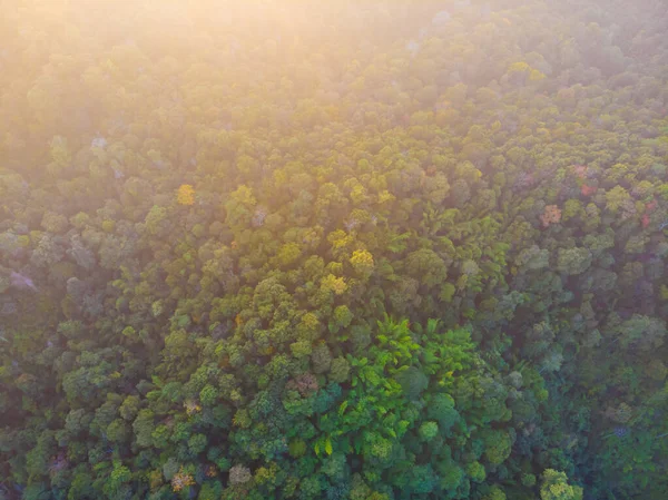 Widok Lotu Ptaka Zielony Las Dżungli Górskiej Słońcem Światło Krajobraz — Zdjęcie stockowe