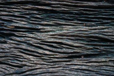 Şablon tahtası için koyu kahverengi ahşap desen arka planı