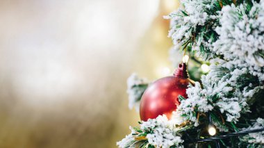 Çam ağacının dalındaki Noel balosu, arka planı bulanık, Mutlu Noeller.