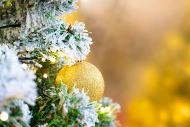 Çam ağacının dalındaki Noel balosu, arka planı bulanık, Mutlu Noeller.