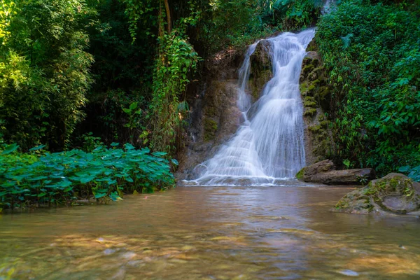 緑の葉を持つ深い熱帯林の美しい滝 — ストック写真