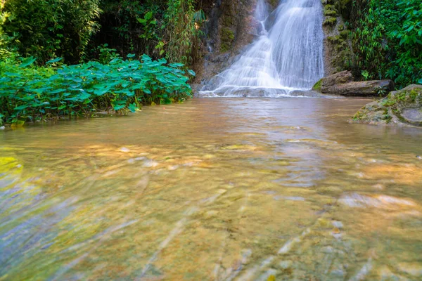 緑の葉を持つ深い熱帯林の美しい滝 — ストック写真