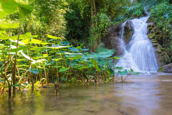 緑の木々の自然景観上の熱帯林の太陽の光の中で驚くべき滝 Phayao Thailand — ストック写真