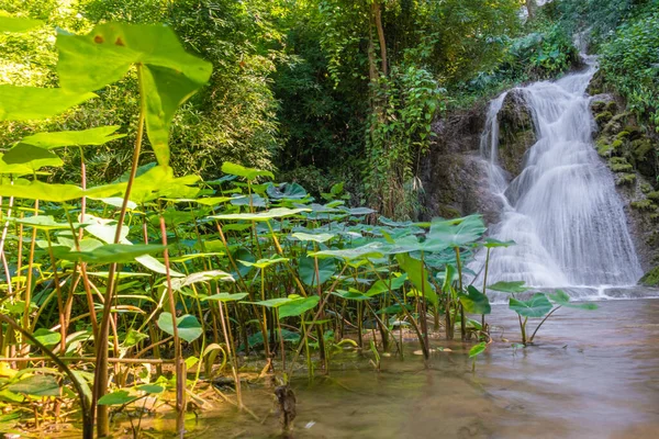 파야오의 경관에 비추는 우림의 놀라운 — 스톡 사진