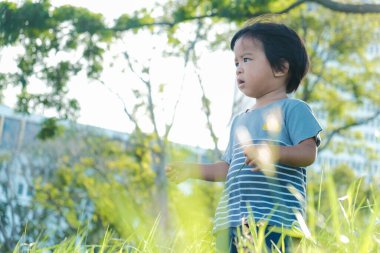 Doğada, parktaki yeşil çimlerde yürüyen sevimli Asyalı çocuk.