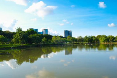 Kamu parkındaki güzel gölet, mavi gökyüzüne karşı.