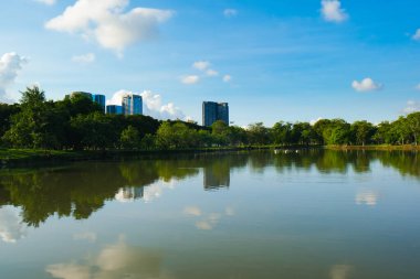 Kamu parkındaki güzel gölet, mavi gökyüzüne karşı.