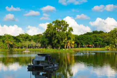 Kamu parkındaki güzel gölet, mavi gökyüzüne karşı.