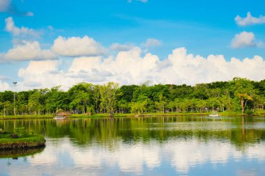 Kamu parkındaki güzel gölet, mavi gökyüzüne karşı.